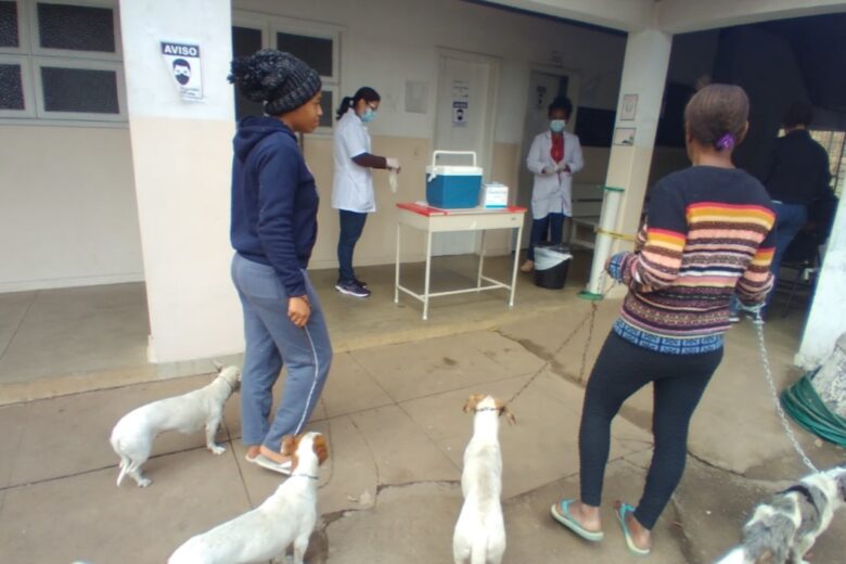 Vacinação de cães e gatos contra a raiva continua hoje em Monlevade