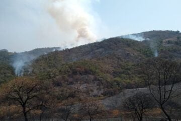 Brigadistas seguem combatendo incêndio no Parque Estadual Mata do Limoeiro, em Ipoema