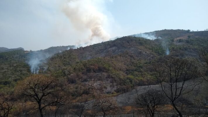 Brigadistas seguem combatendo incêndio no Parque Estadual Mata do Limoeiro, em Ipoema