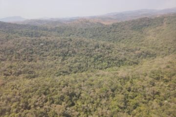 Saiba os dias e horários de funcionamento do Parque Estadual Mata do Limoeiro