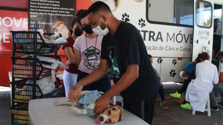 castração Fabriciano