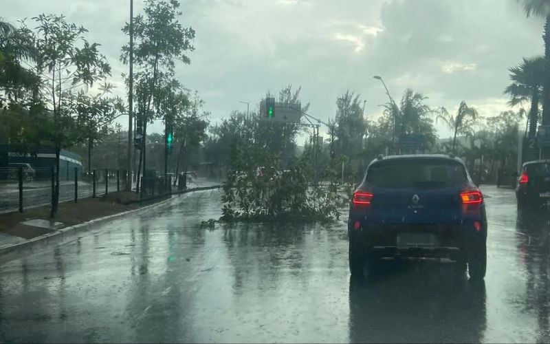 Belo Horizonte registra chuva forte, granizo e árvores caídas