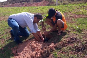 Prefeitura de Itabira e empresas plantam 266 mudas de ipê no Distrito Industrial