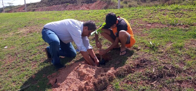 Prefeitura de Itabira e empresas plantam 266 mudas de ipê no Distrito Industrial