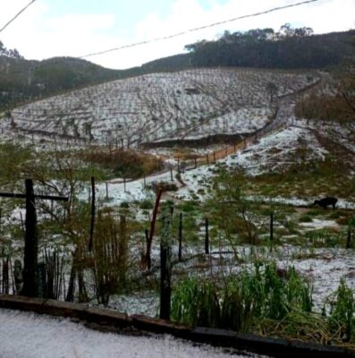 Mais de 16 mil hectares de lavouras foram atingidos pelas chuvas de granizo em Minas Gerais