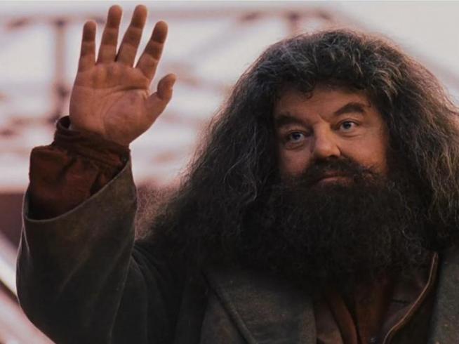 Fãs de “Harry Potter” choram a morte do ator que interpretou Hagrid