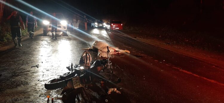 motociclista-fica-ferido-ao-colidir-com-animal-na-estrada-105