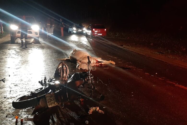 Motociclista fica ferido ao colidir com animal na Estrada 105