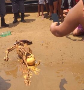 Banhistas encontram ossada em praia da Ponta Negra, em Manaus