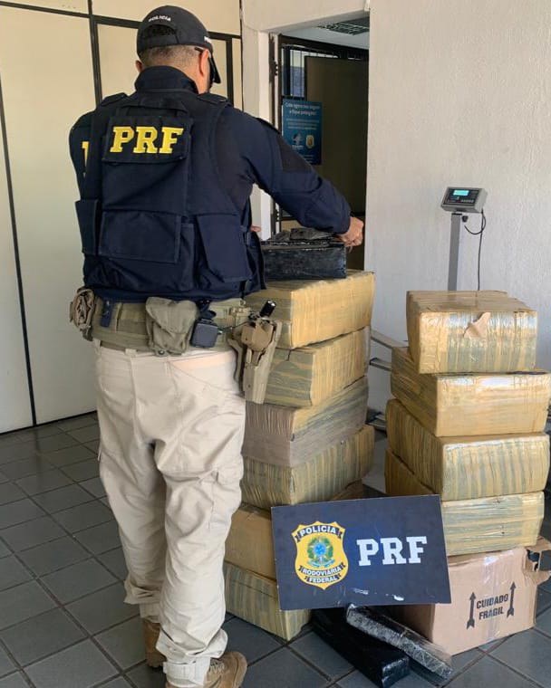 Operação policial apreende mais de 200 kg de maconha na Grande BH