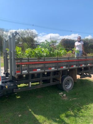 Itabira celebra aniversário com programação ambiental e lançamento de projeto hídrico nesta quarta-feira (8)