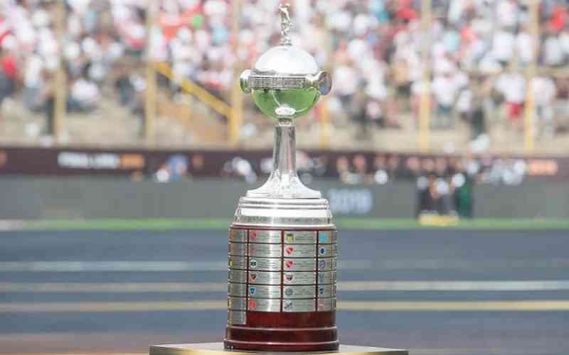 Palmeiras, River: veja os times classificados à Copa Libertadores de 2023