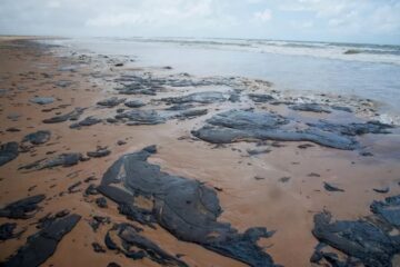 Toneladas de óleo são retiradas de praias pernambucanas pela segunda vez