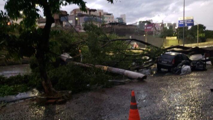 árvore cai depois de chuva forte em BH