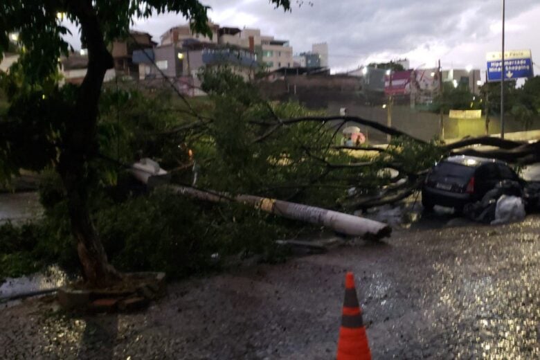 Chuva em BH: árvore cai em cima de carro e homem sofre traumatismo craniano