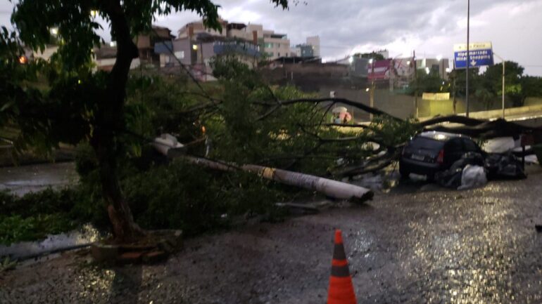 Chuva em BH: árvore cai em cima de carro e homem sofre traumatismo craniano