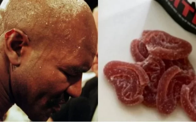 Mike Tyson e Holyfield lançam petisco de cannabis em formato de orelha