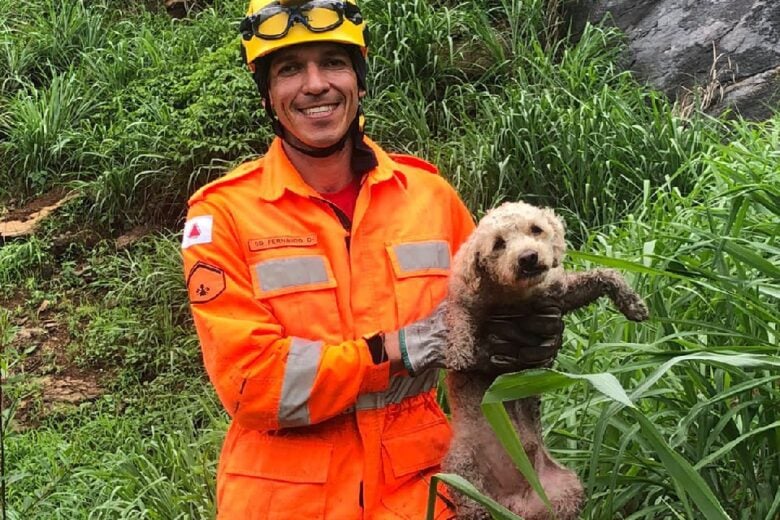 Com técnicas de rapel, bombeiros resgatam cachorro que ficou preso em pedreira; veja o vídeo