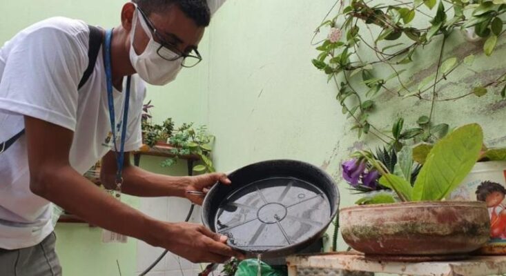 Aedes aegytpi; DENGUE