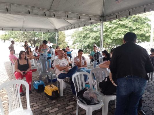 mutirão de castração, castração