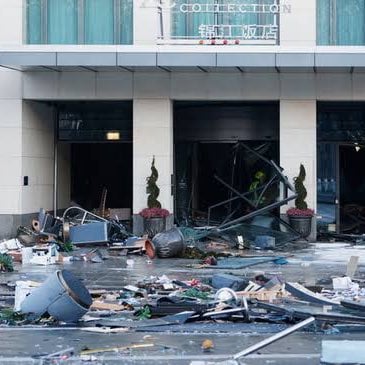 Aquário gigante explode e espalha 1.400 peixes exóticos em Berlim; veja o vídeo!