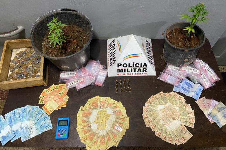 PM apreende munições e pés de maconha em Santa Bárbara