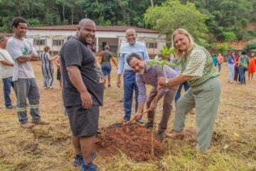 Programa de plantio de árvores chega à comunidade quilombola Morro Santo Antônio