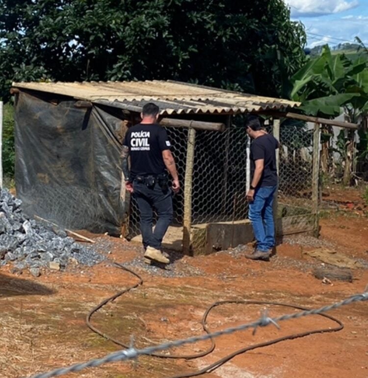 Mulher é presa após filmar gato sendo atacado por cães rottweiler