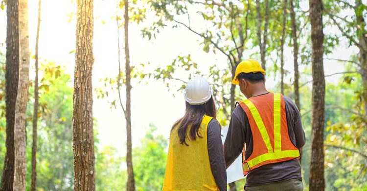 Itabira: Secretaria de Meio Ambiente tem cadastro para consultores ambientais