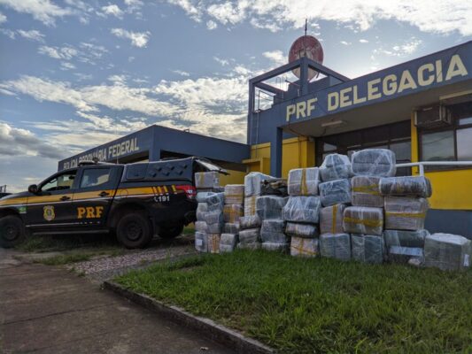 apreensão de maconha