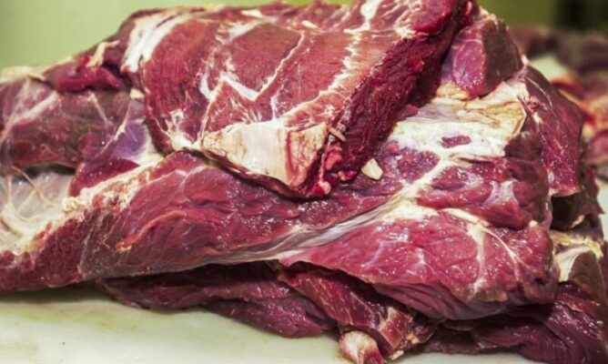 carne bovina