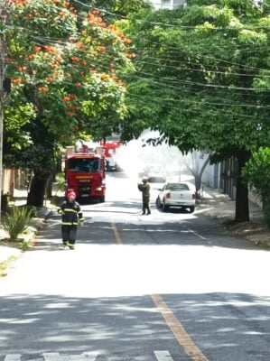 O Corpo de Bombeiros foi acionado para a ocorrência do ataque de abelhas