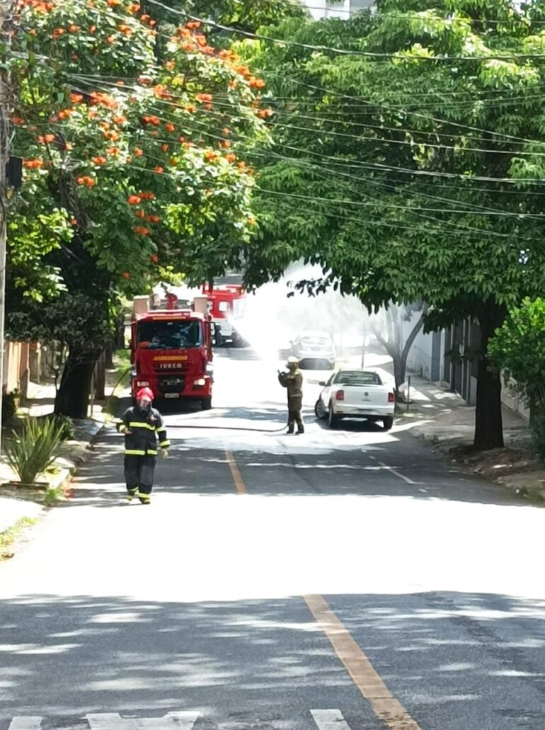 Mulher sofre ataque e fica com o corpo coberto de abelhas em Belo Horizonte