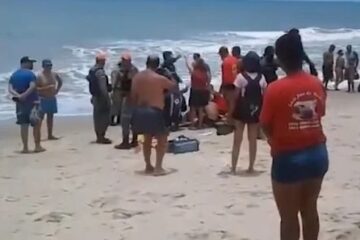 Recife: garota perde parte do braço após mordida de tubarão; é o 3º ataque desde o Carnaval