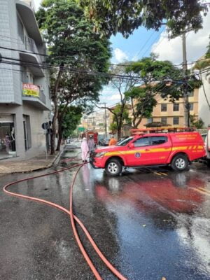 ataque de abelhas em Belo Horizonte