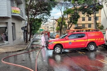 Pedestres são atacados por abelhas em Belo Horizonte