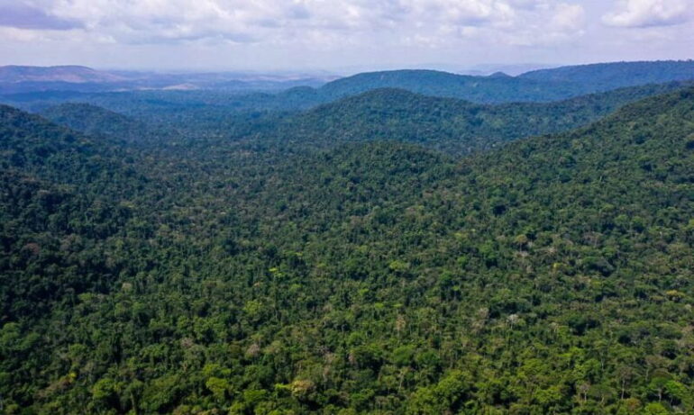 Com alterações, Senado aprova projeto que cria mercado regulado de carbono