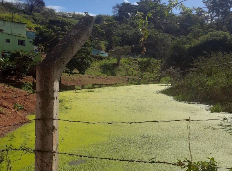 ‘Lagoa de esgoto’ na Vila Paciência: Saae diz ‘não ter atuação no local’ e Prefeitura se cala