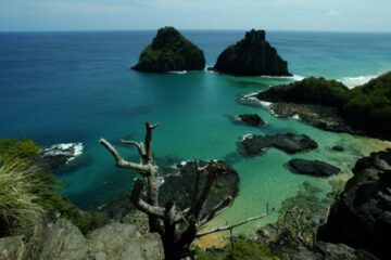 Mulher é mordida por tubarão em Fernando de Noronha