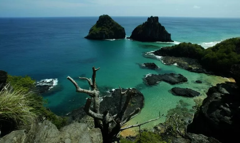 Mulher é mordida por tubarão em Fernando de Noronha