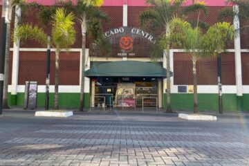 Hospital Veterinário da Faculdade Arnaldo recebeu nesta madrugada quase 300 animais apreendidos no Mercado Central