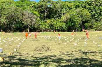 Ipatinga publica relação de classificados para concessão de sepulturas