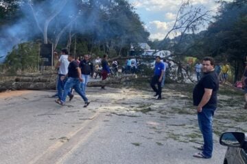 Queda de árvore interdita rodovia no Barro Branco em Itabira