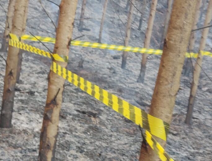 Brigadista morre durante combate a incêndio na área da Cenibra