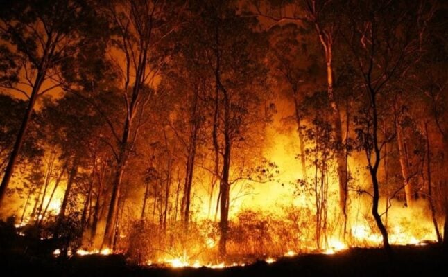 Incêndios florestais no Canadá têm mil focos ativos; fogo ameaça cidades