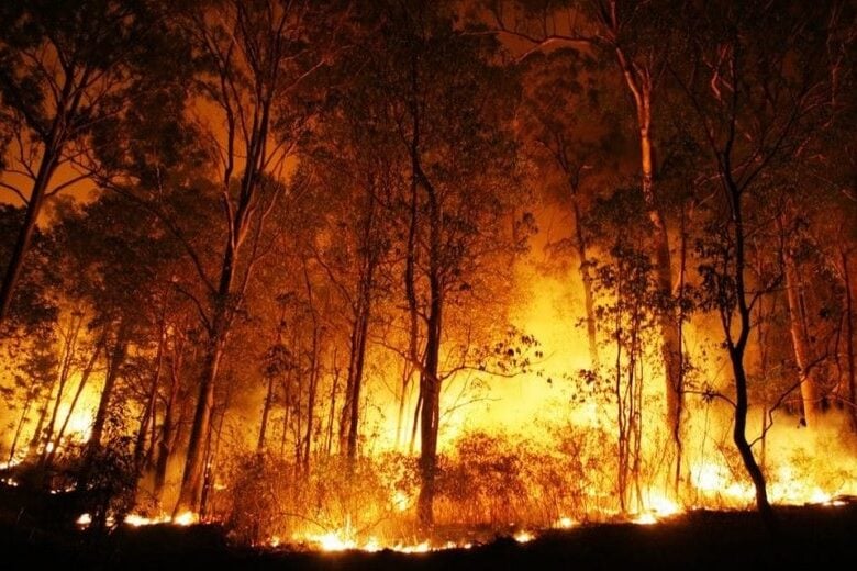 Incêndios florestais no Canadá têm mil focos ativos; fogo ameaça cidades