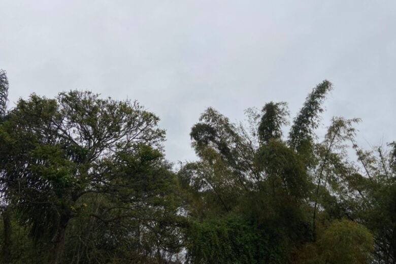 Domingo com chuva e o estagiário levantou da cama só pra te trazer a previsão do tempo; confira