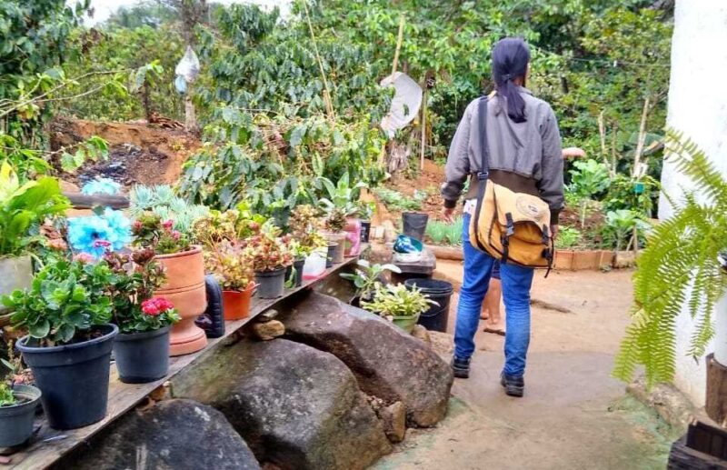 Índice de infestação de dengue cai em Itabira, que ainda segue em alerta de surto da doença