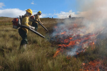 Onda de calor pode aumentar o risco de incêndios florestais em Minas Gerais