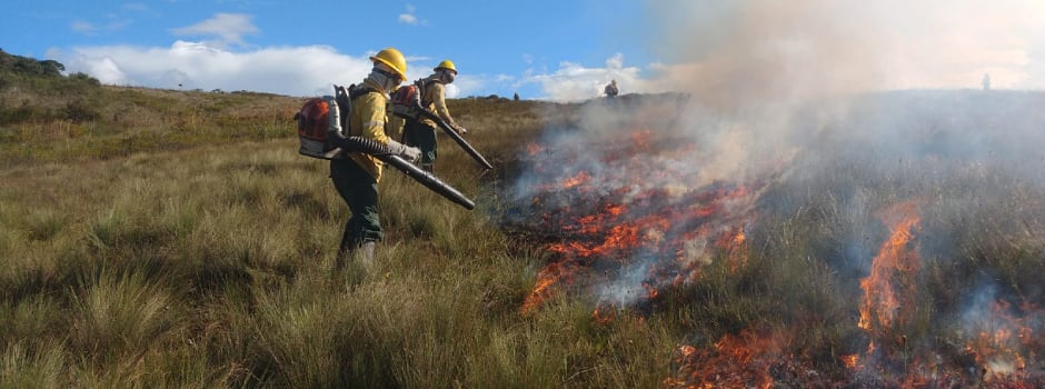 Onda de calor pode aumentar o risco de incêndios florestais em Minas Gerais